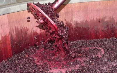 Un juicio millonario impacta sobre la vitivinicultura cuyana y genera fuerte polémica en la región