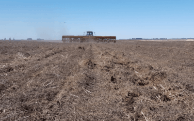 Decepción: La suspensión de retenciones no provocó un cambio de tendencia en la demanda de fertilizantes por parte de los productores argentinos