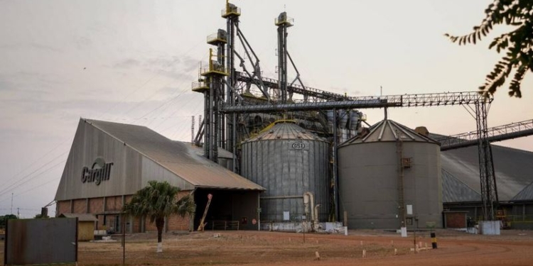 Brasil sigue creciendo en capacidad de procesamiento de soja, mientras que la Argentina se estancó ¿Por qué será?