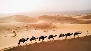 De glaciares a desiertos: los 9 mejores destinos del mundo para quienes buscan aventuras