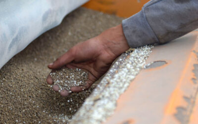 En el Día Mundial de los Fertilizantes, destacan que sin ellos el mundo produciría sólo la mitad de los alimentos que necesita