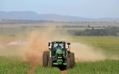 Simplifican la importación de fertilizantes y enmiendas al digitalizar el trámite