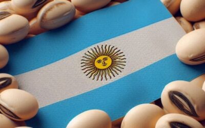 Se acabó el “bonus chino” en los futuros de la soja argentina ¿Cuál es la razón?