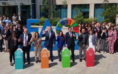 FAO propone soluciones financieras innovadoras que aceleren la transformación de los sistemas agroalimentarios