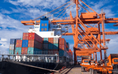 La cadena agroindustrial argentina rechaza enfáticamente la propuesta de salvaguardia Agrícola de la Unión Europea