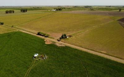 El manejo como base de sustentabilidad y rentabilidad