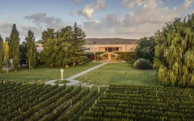 Una de las bodegas más reconocidas de la Argentina solicitó concurso de acreedores