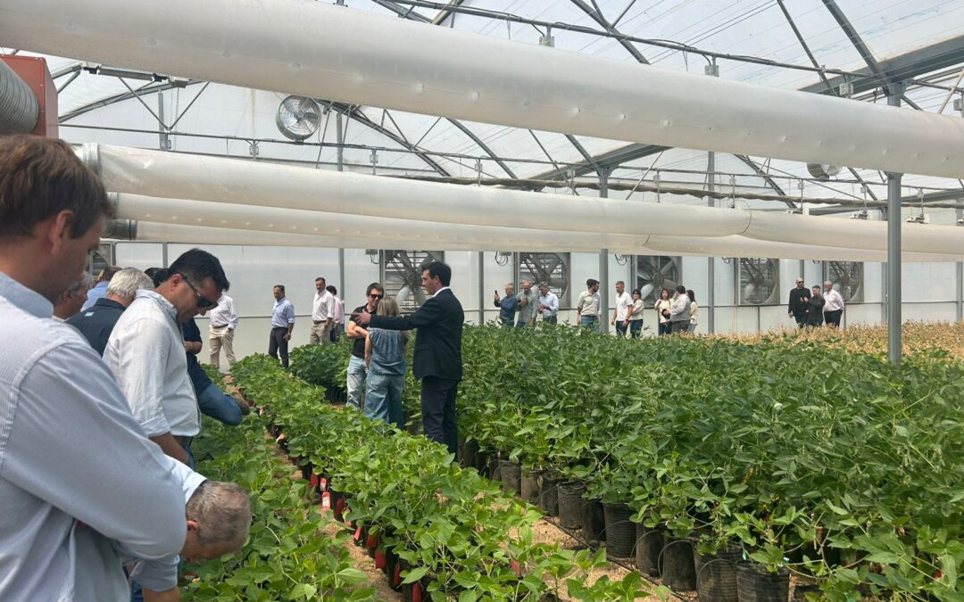 La cadena semillera auguró un futuro prometedor en Chacabuco