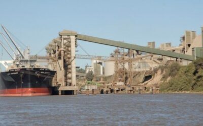 La demanda china ya no tiene tanta influencia en el mercado argentino de soja, pero su aporte aún ayuda a sostener los precios