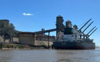 Los productos que lideran la generación genuina de divisas de la economía argentina son los más castigados