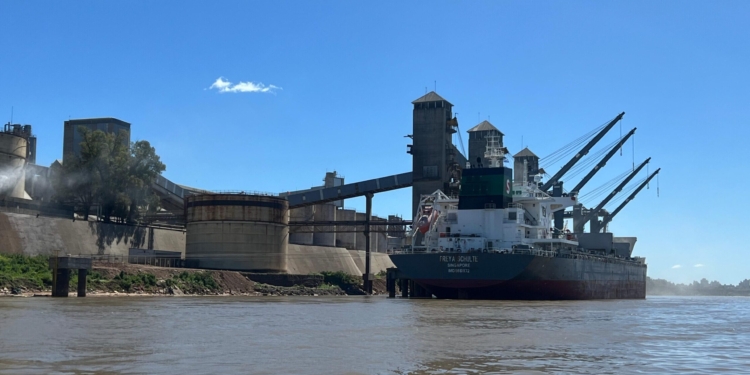 Los productos que lideran la generación genuina de divisas de la economía argentina son los más castigados