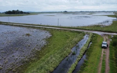 El Gobierno declaró y prorrogó la emergencia agropecuaria en zonas de Entre Ríos, Buenos Aires y Río Negro