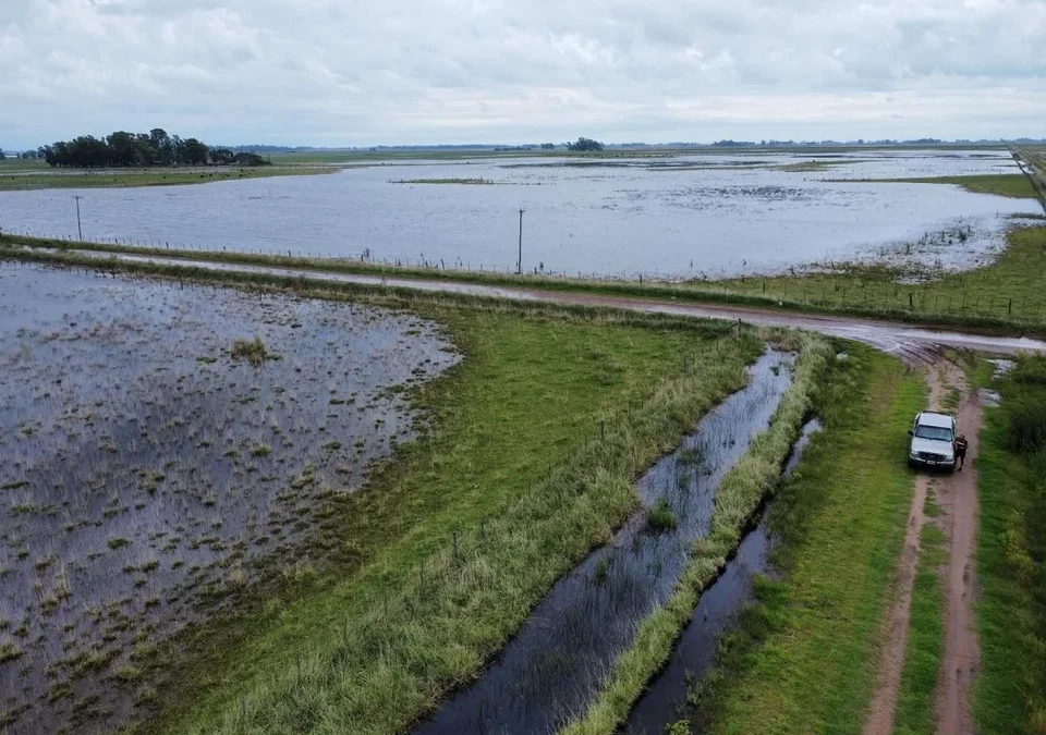 El Gobierno declaró y prorrogó la emergencia agropecuaria en zonas de Entre Ríos, Buenos Aires y Río Negro