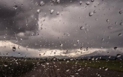 Prevén precipitaciones de variada intensidad con su foco sobre el norte del área agrícola
