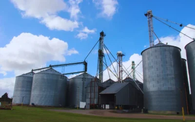 Pautas para reducir el riesgo de mezclas en la cosecha y minimizar pérdidas