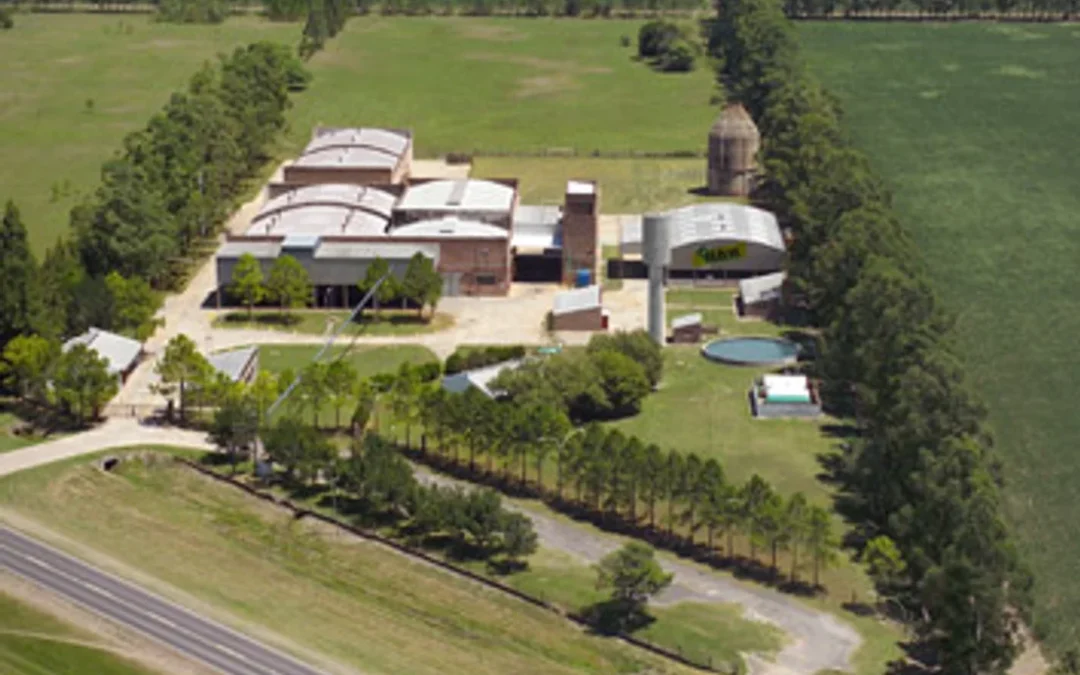 Batalla por la agroexportadora Vicentin entra en su tramo final con jugador inesperado