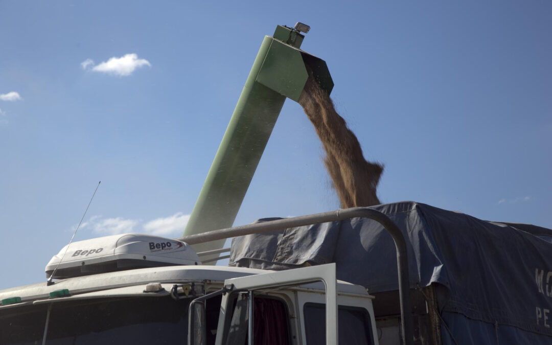 Las exportaciones agroindustriales crecieron 21% en valor en septiembre de 2025