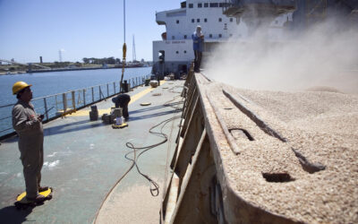 Exportaciones agroindustriales top: 53 productos tuvieron la mejor performance interanual de los últimos 7 años