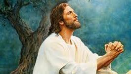 Catequesis del Papa León XIV sobre el tema «Jesucristo nuestra esperanza»