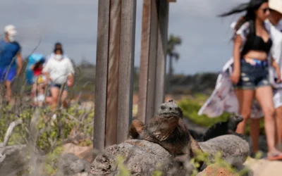 Antes eran paraísos remotos. Hoy estos lugares icónicos de América Latina sufren el impacto del exceso de turismo