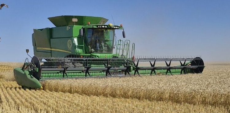 Fiesta del Pan: Una buena y una mala noticia para la comercialización de trigo 2025/26