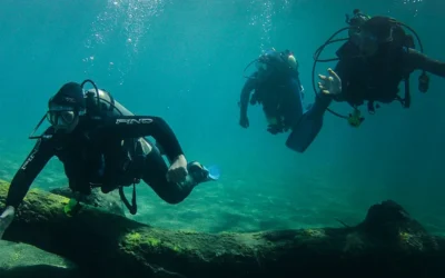 Dónde bucear en Argentina además de Puerto Madryn: destinos, niveles y experiencias imperdibles