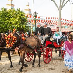 Andalucía: el corazón de España, entre la Alhambra y el Mar de Olivos