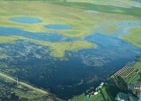 Cuando el agua ahoga, el Estado tira un salvavidas de plomo