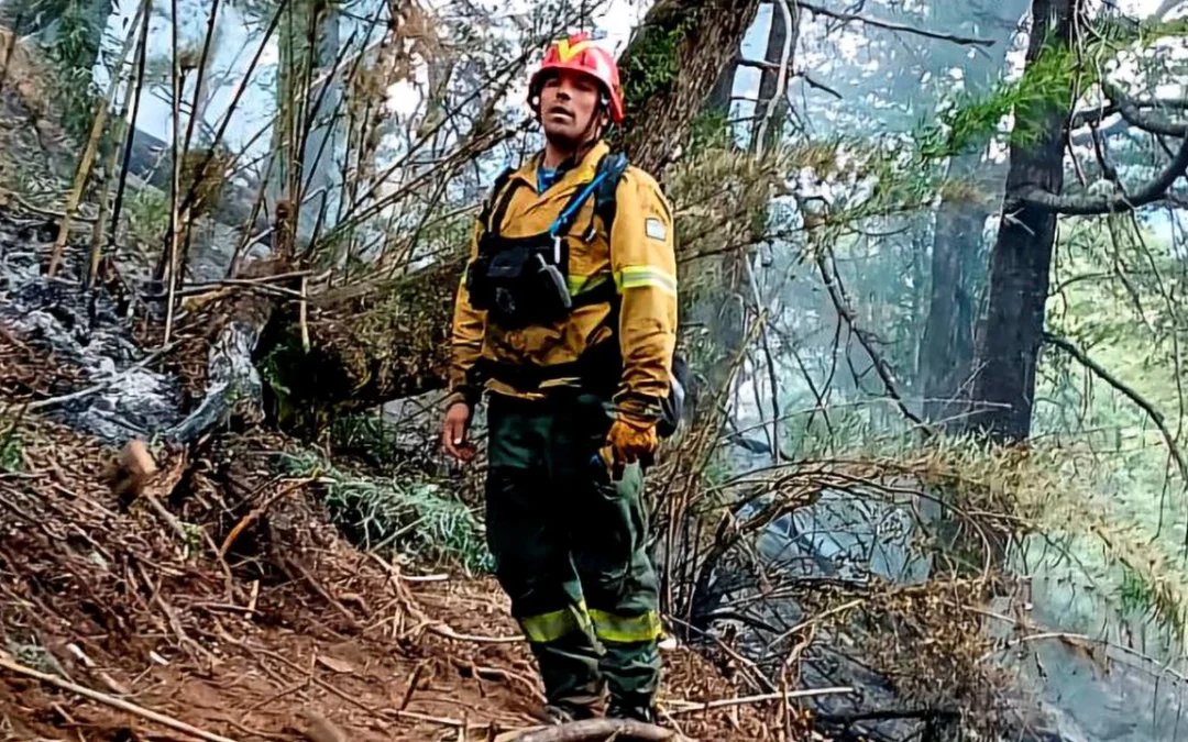 Ya se quemaron casi cien hectáreas por un incendio forestal en Epuyén