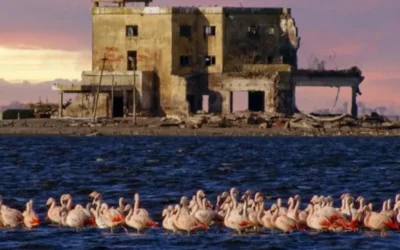 Con laguna y flamencos: el pueblo argentino ideal para el verano que fue declarado “sitio Ramsar”