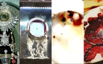 4 milagros eucarísticos extraordinarios del siglo XXI