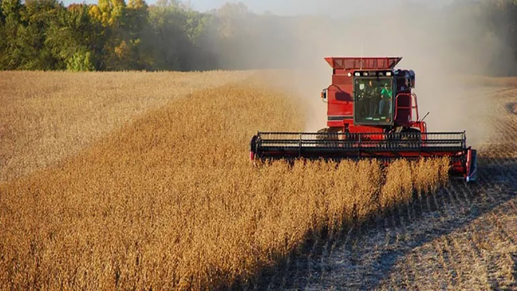 ¿Barrera u oportunidad?: Desde diciembre la UE sólo importará soja proveniente de lotes libres de desmonte