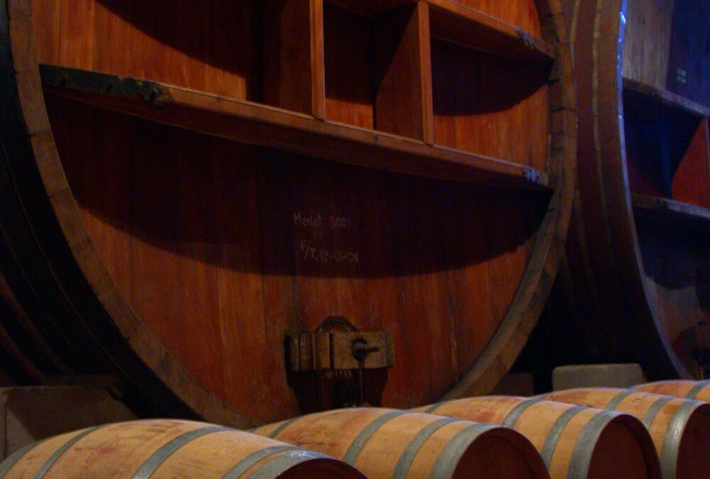 El Gobierno Nacional moderniza y simplifica la regulación de la industria vitivinícola