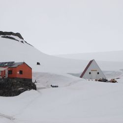Dos excursiones a la Antártida para hacer en diciembre y primeros meses de 2026