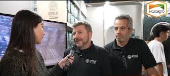 Cómo se produce la yerba mate