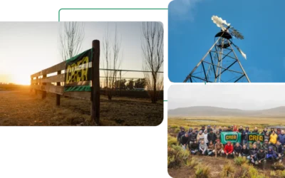 El campo espera por el plan Milei: la siembra será menor en 2026 y «no es buen momento para invertir»