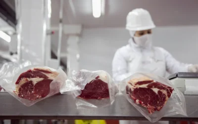 Agricultura distribuyó la cuota Hilton de carne bovina para el período 2025/2026