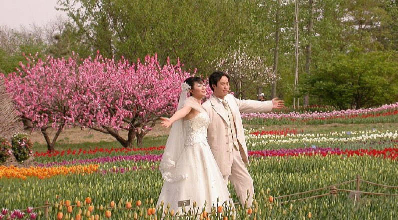 China registra un leve aumento de matrimonios, pero persisten las dudas sobre un cambio cultural real