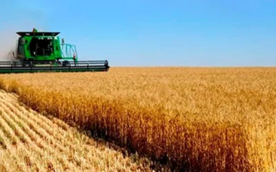 Nueva rebaja de retenciones para el campo: así quedaron las alícuotas