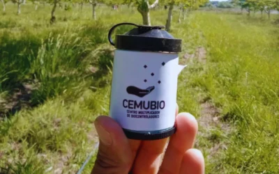 Primera exportación de controladores biológicos para frutales