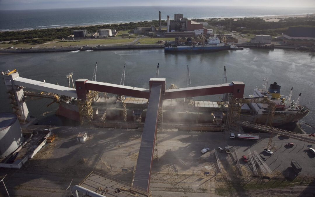 En noviembre fueron récord las Declaraciones Juradas de Ventas al Exterior de productos agrícolas