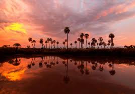 Entre playas y bosques, el destino que será furor este verano a 4 horas de CABA