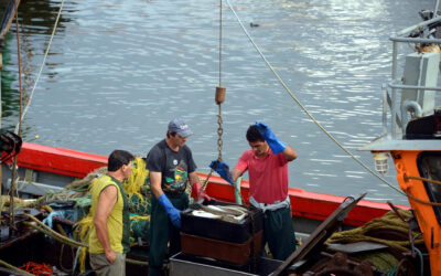 La actividad pesquera aumentó 58,2% en septiembre