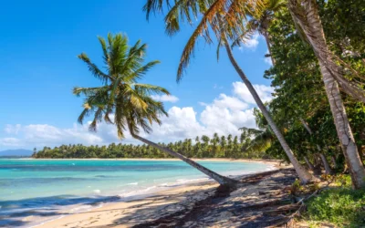 Los mejores destinos para viajar en enero y febrero 2026