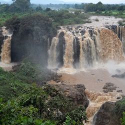 Opciones para descubrir Africa de la mano de una aerolínea que conecta diariamente con el continente