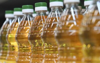 La molienda de girasol alcanzó en octubre un crecimiento interanual de 34%