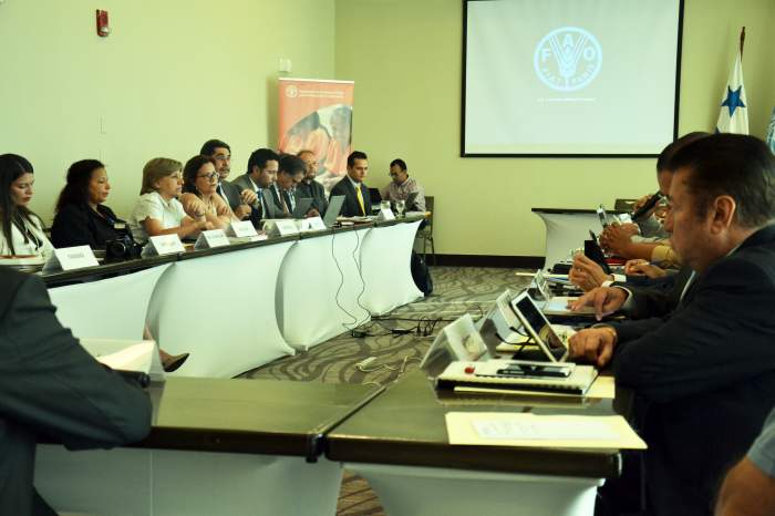 Tres prioridades para una pesca y acuicultura sostenible en América Latina y el Caribe