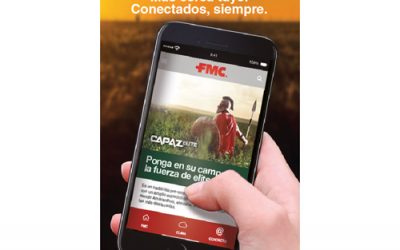 Soluciones en la palma de la mano