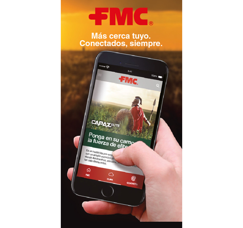 Soluciones en la palma de la mano