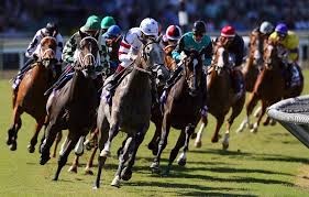 La influenza equina puede prevenirse